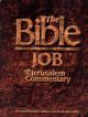 103863 The Bible: Job - with the Jerusalem Commentary